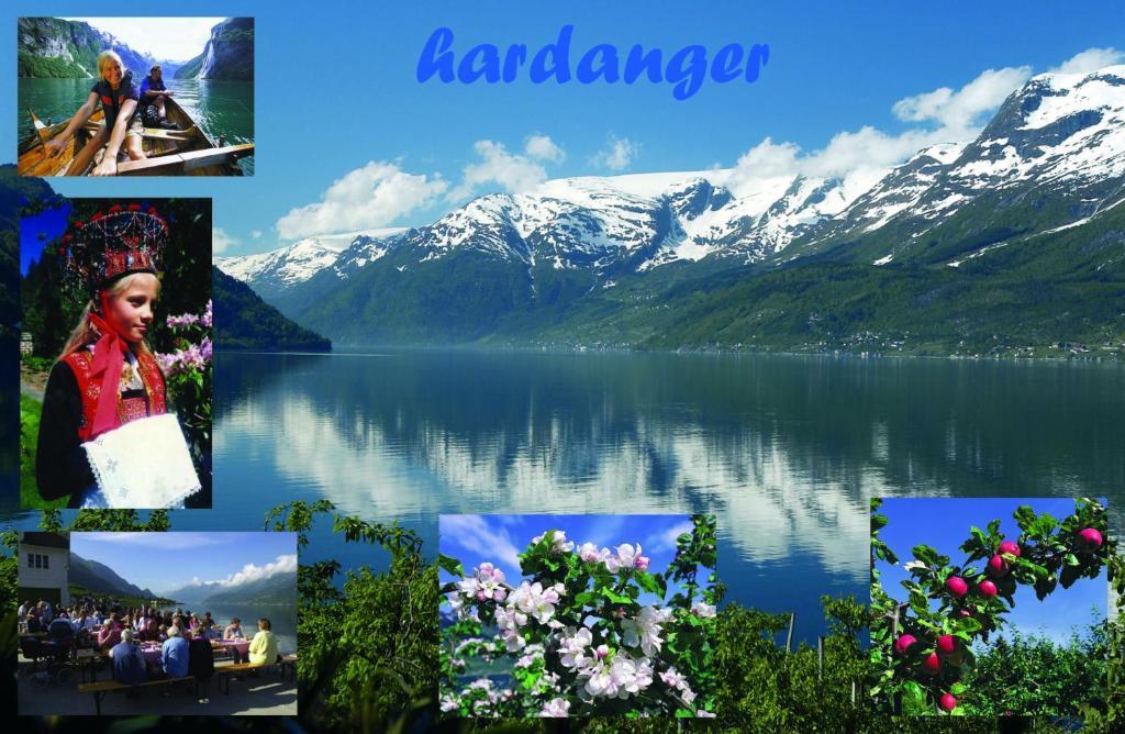 Trolltunga Camping Odda Bagian luar foto